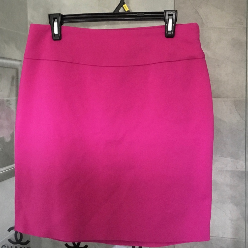 NWOT lined skirt with side zip.
